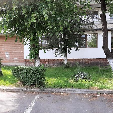 Kriss Apartment Luxury Târgu Jiu المظهر الخارجي الصورة